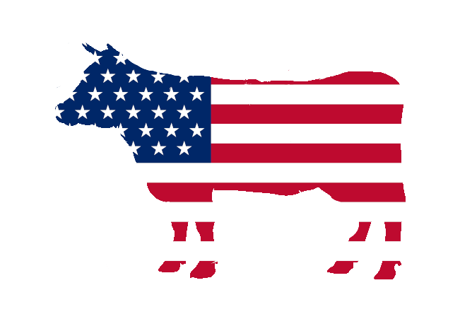 Bandiera di provenienza